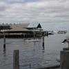 Fremantle port